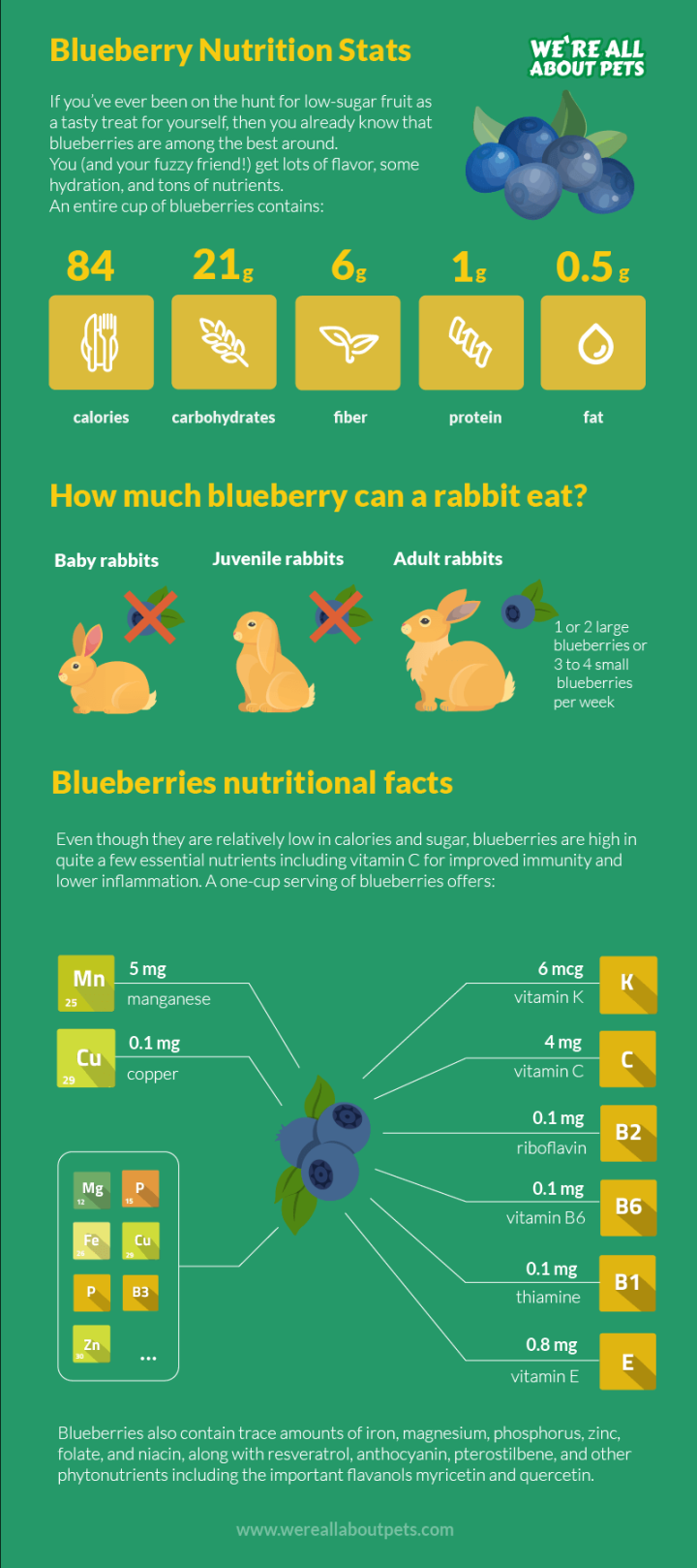 Can Rabbits Eat Blueberries? - We