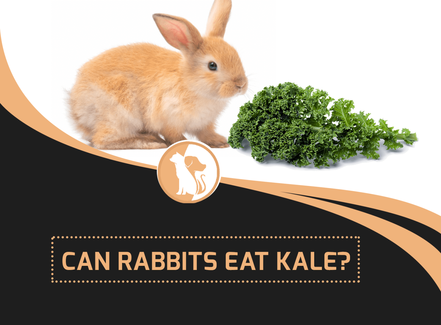 Can Rabbits Eat Kale?