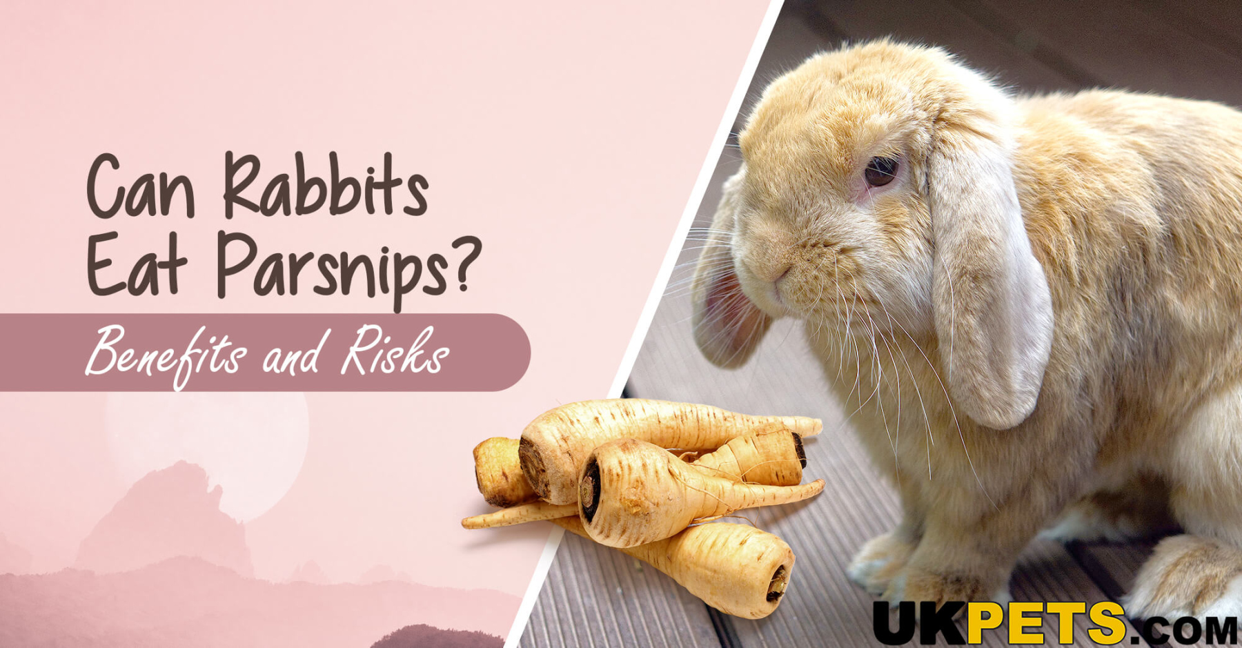 Can Rabbits Eat Parsnips? Health Benefits and Risks UKPets