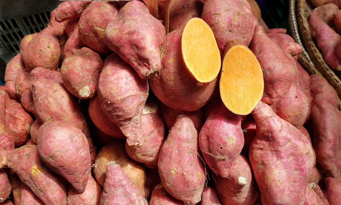 Can Rabbits Eat Sweet Potato? Safety Facts & FAQ Pet Keen