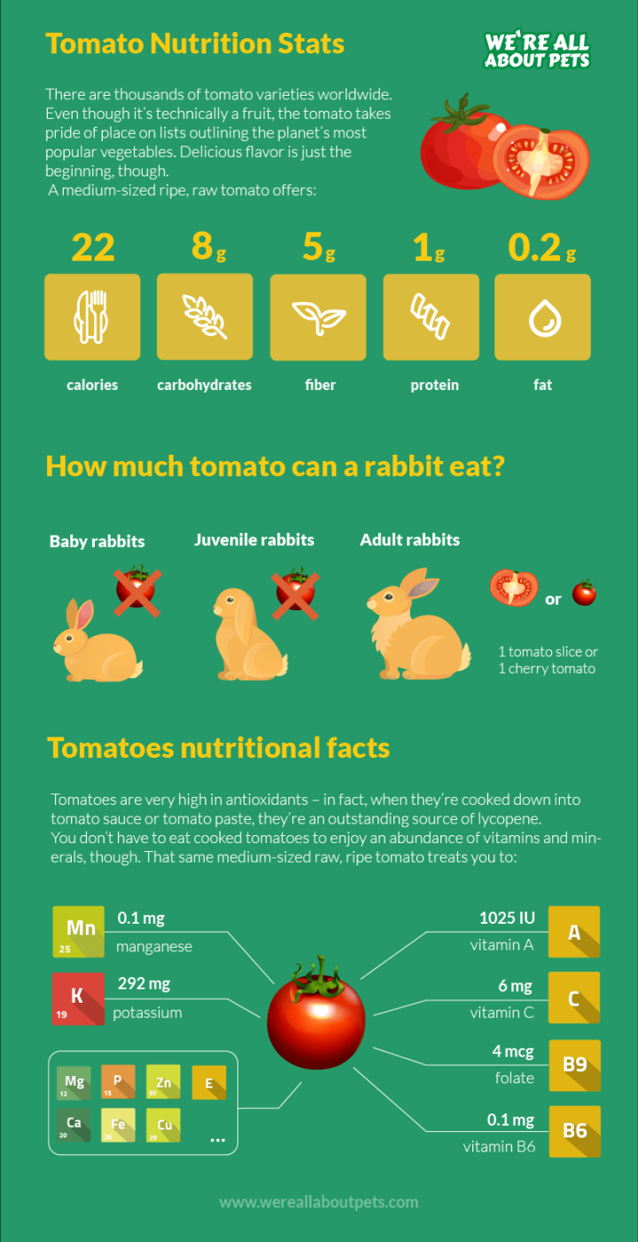 Can Rabbits Eat Tomatoes? - We