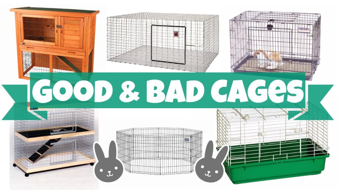 Good vs Bad Rabbit Cages