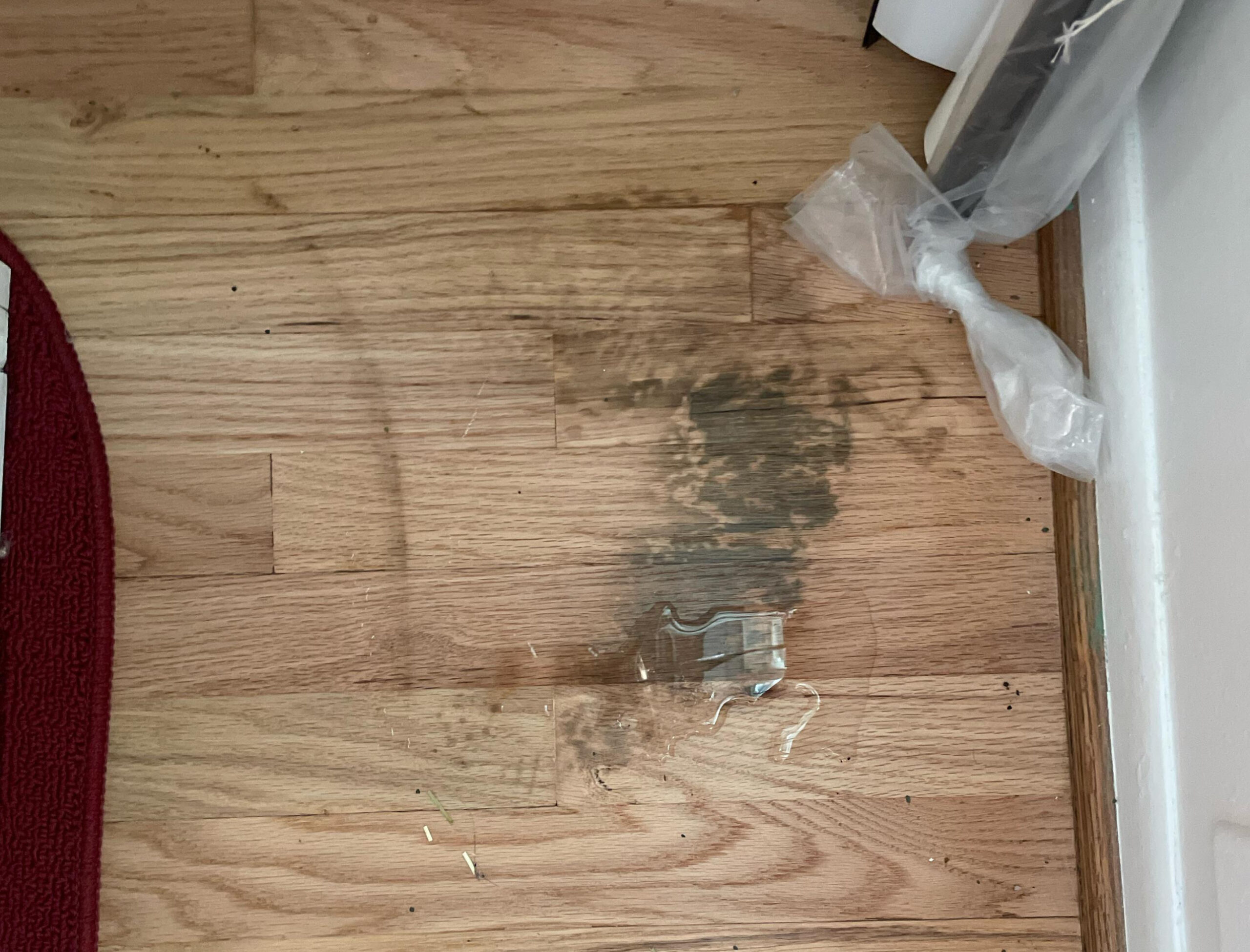 How to get rabbit urine stains off of hardwood floor? : r/Rabbits