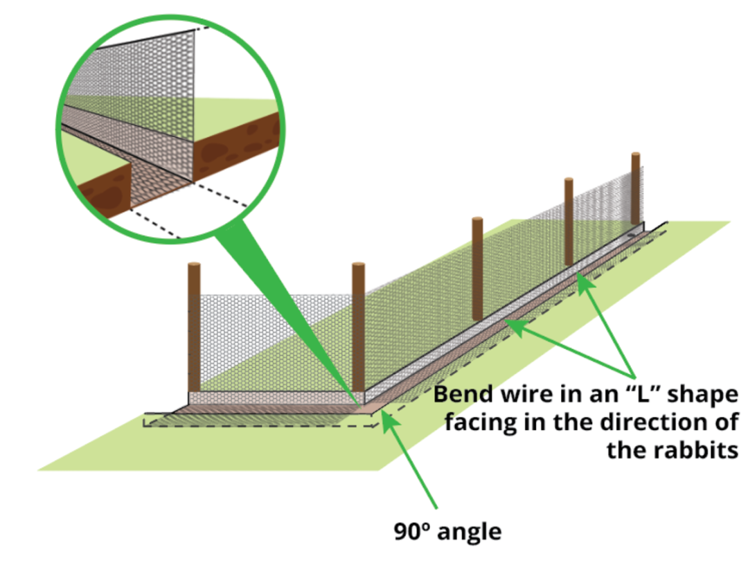 How to Install a Rabbit-Proof Fence (FREE PDF) Wire Fence