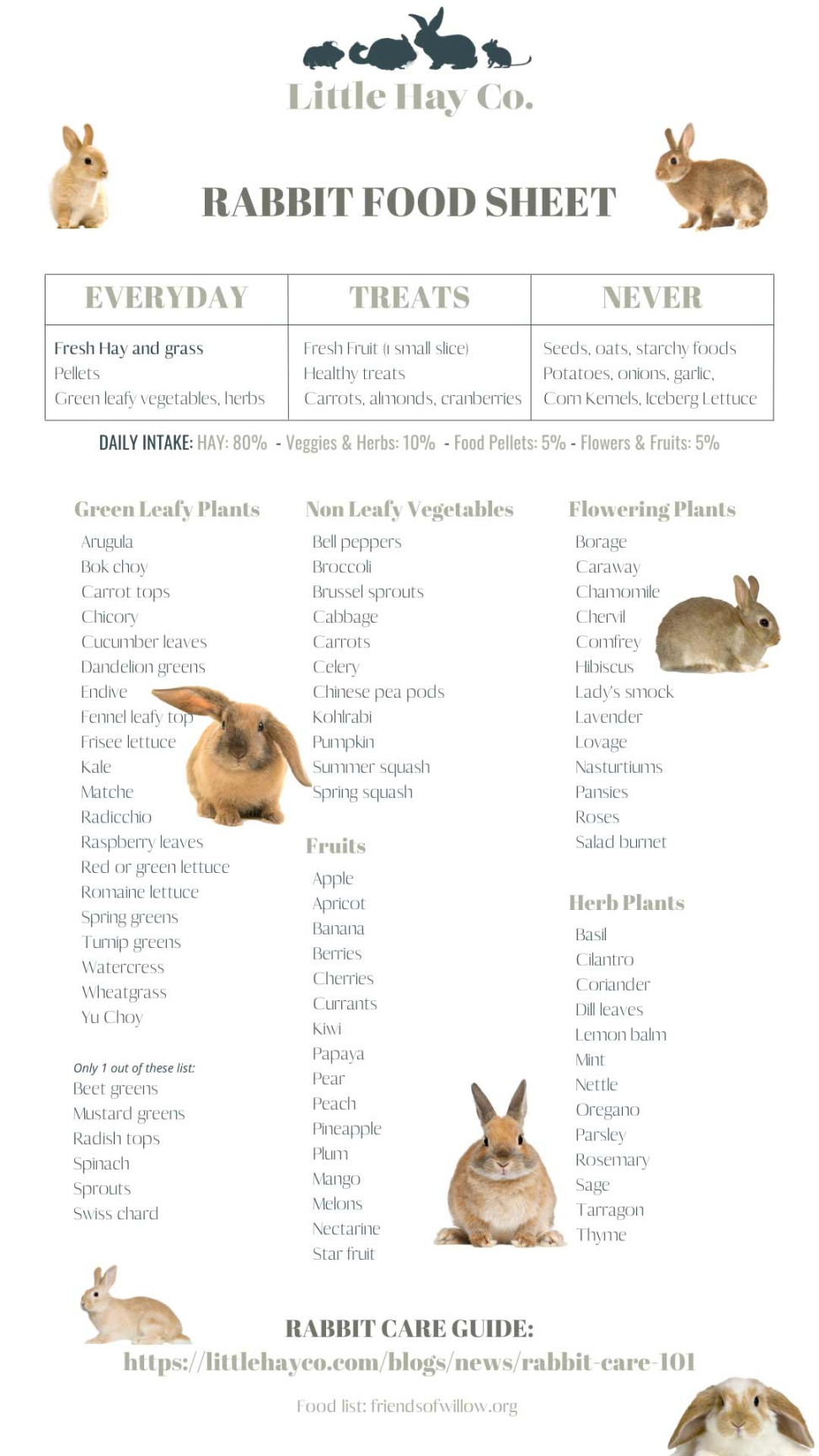Rabbit care – everything you need to know – The Little Hay Company