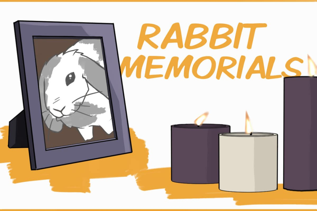 Rabbit Memorials: How To Deal With the Loss of a Pet Rabbit