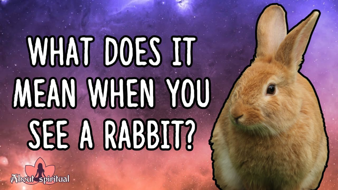 Spiritual Meanings When You See a Rabbit