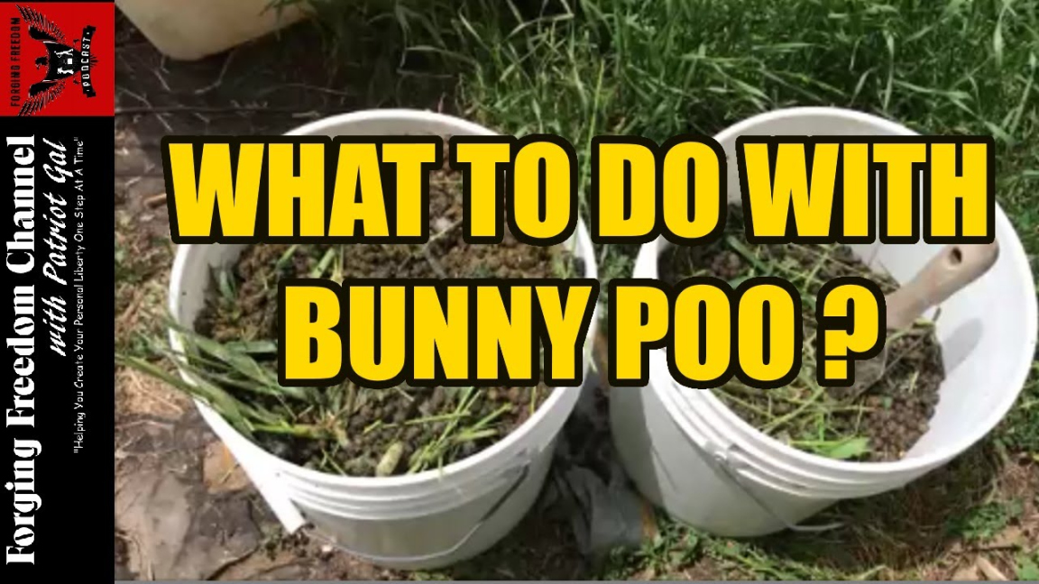 What to Do with Bunny Poo - Managing Rabbit Manure for Composting