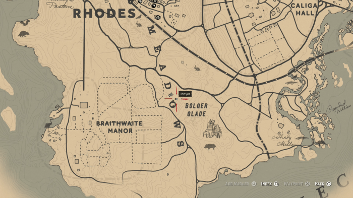 How To Get Perfect Rabbit Pelt Rdr2?