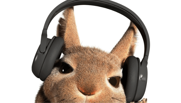 Do Rabbits Like Music?