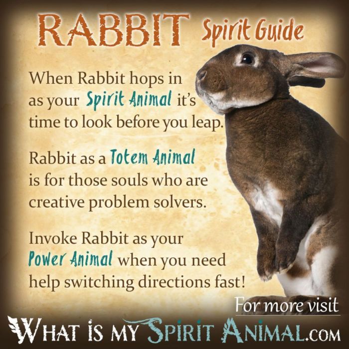 animal spirit rabbit meaning symbolism totem power meanings whatismyspiritanimal native american symbols spiritual animals article totems