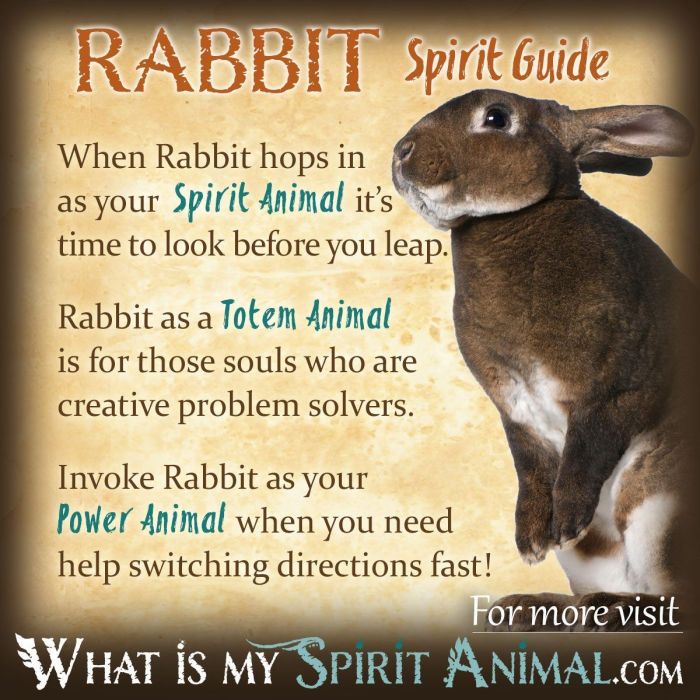 What Does A Rabbit Represent?