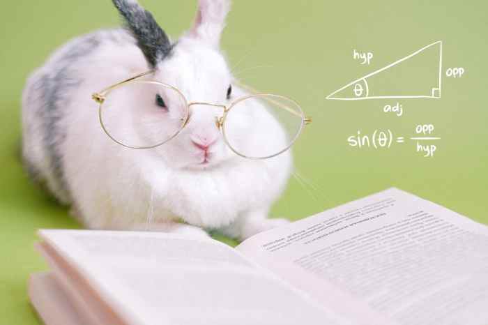 How Smart Are Rabbits? terbaru